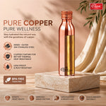 Stainless Steel Insulated Bottle 24 Hours Hot or Cold Vacuum Flask Thermosteel Bottle  Copper