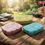 Insulated 3-Compartment Stainless Steel Lunch Box for Kids & Adults