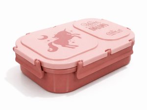 Classic Steels Bento Duo Lunch Box for Kids (600ml) | 2 Compartments Stainless Steel Insulated Tiffin Box | Leak-Proof Silicone Seal | School Lunch Box | Pink